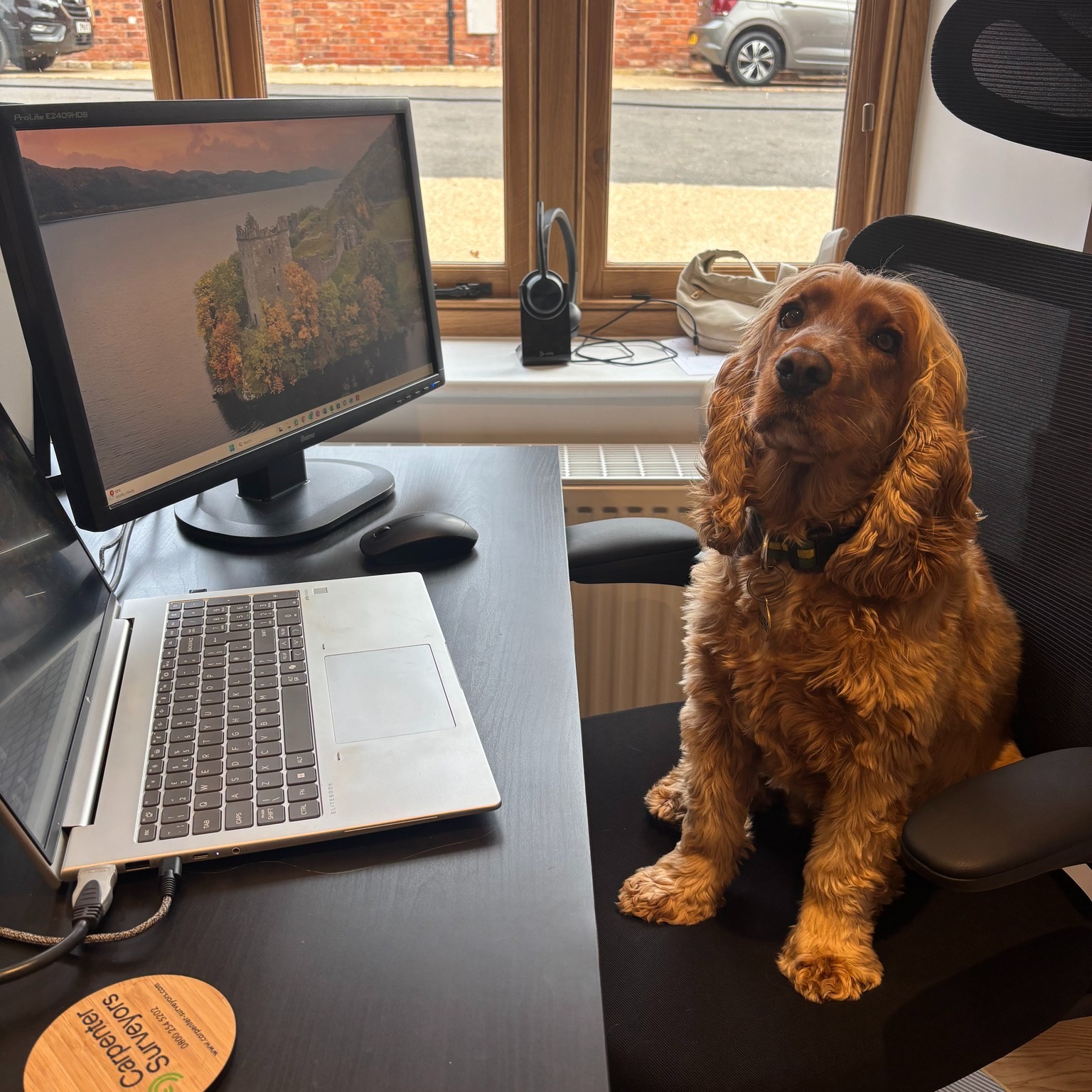 Bailey - Citrine Mortgages